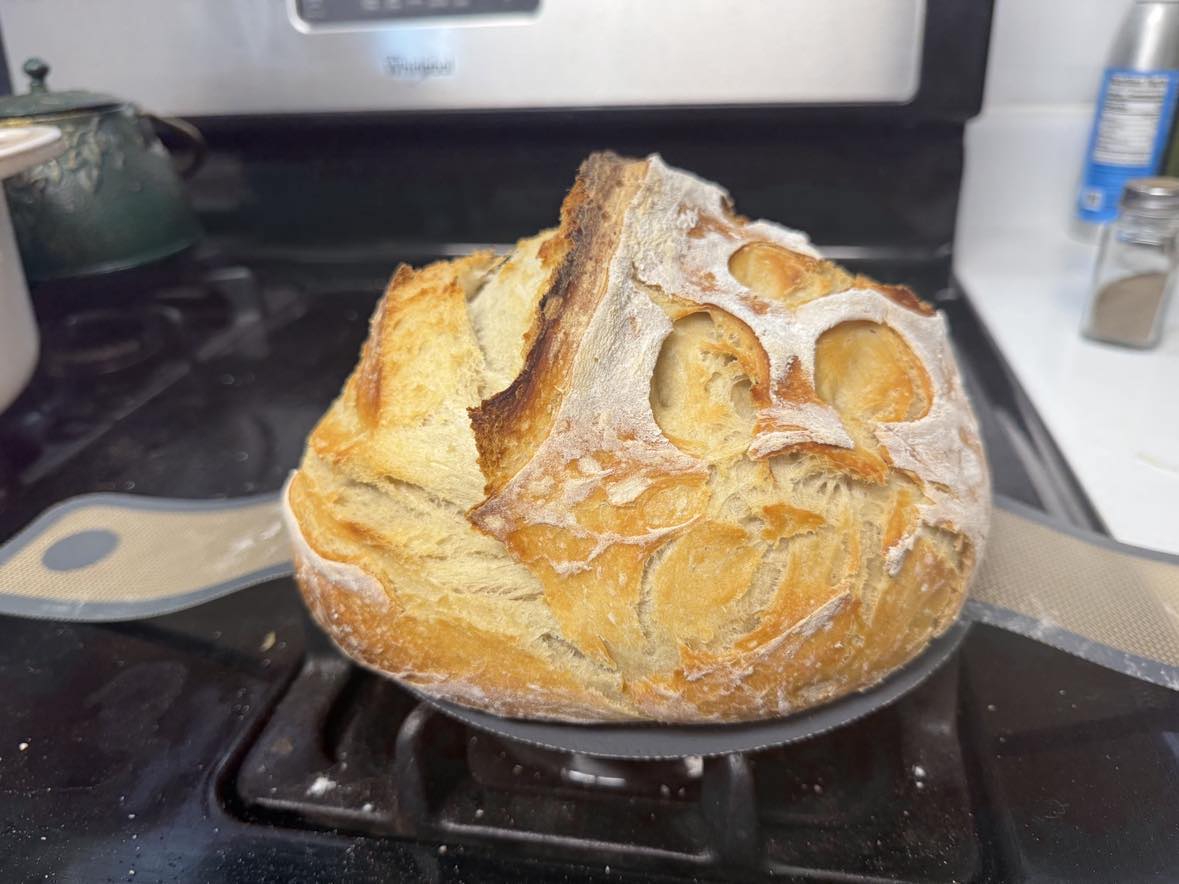 Sourdough - Regular