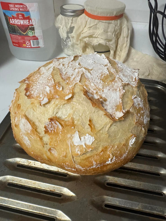 Artisan Italian-Style Bread (Not Sourdough)