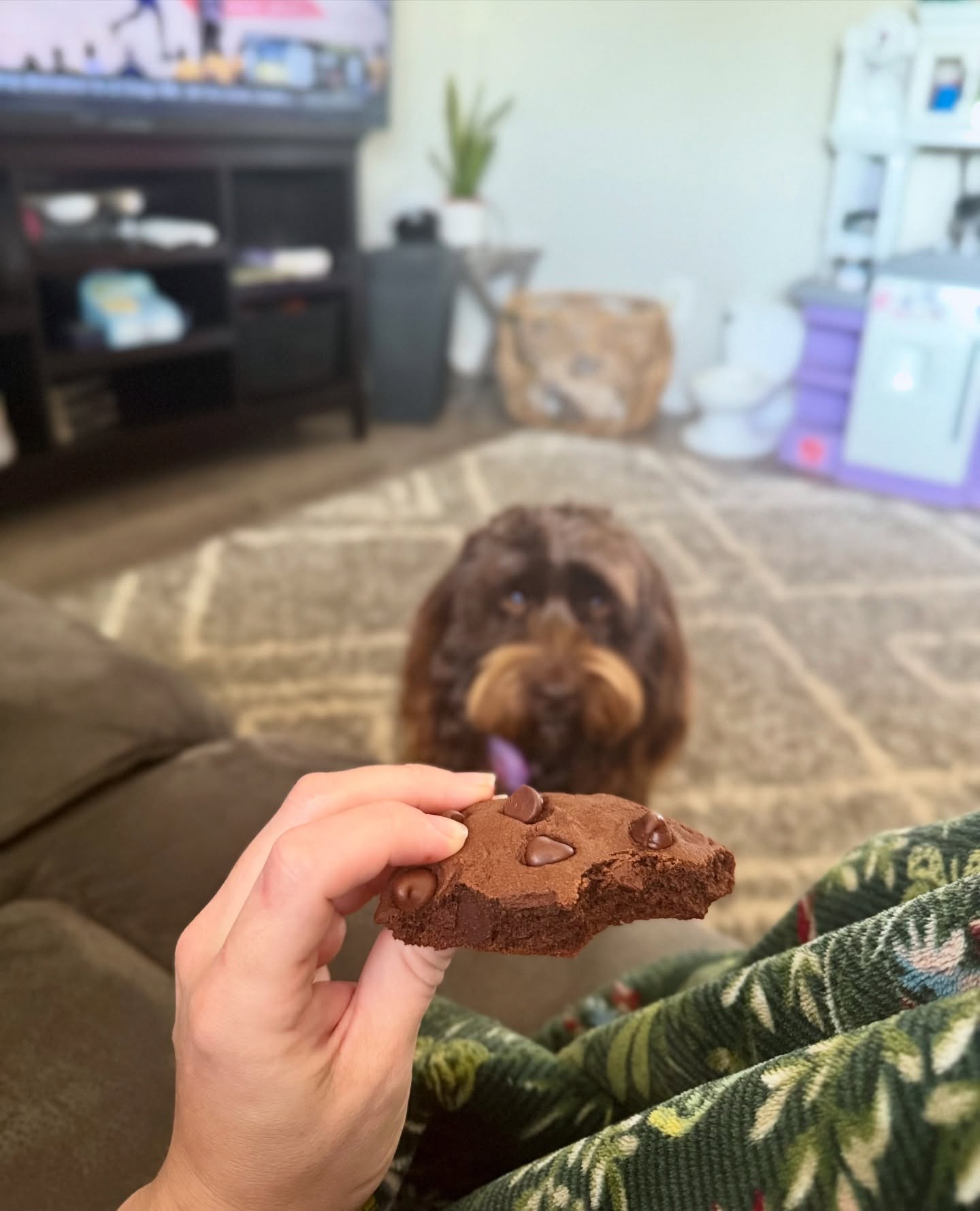 Chocolate Dream Cookies